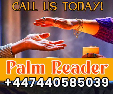 Palm Readre